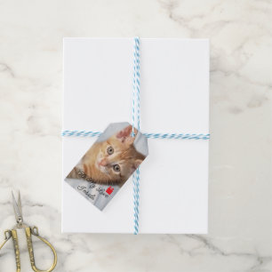 Photo Kitten, Text Saying "All My Love Inside" , Gift Tags