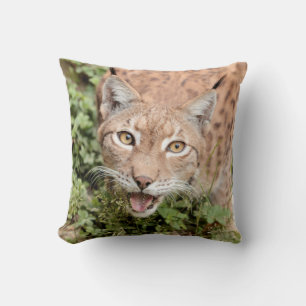 Photo lynx , cat , animals . throw pillow