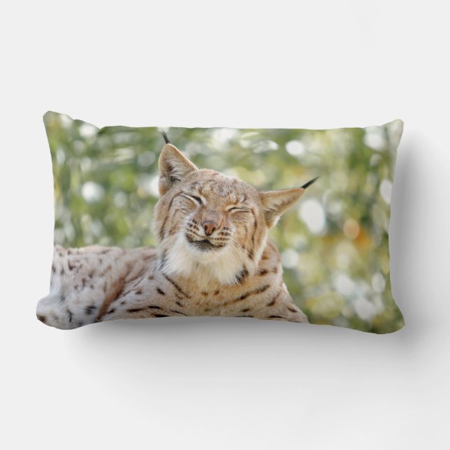 Photo lynx cat , animals . throw pillow (Front)
