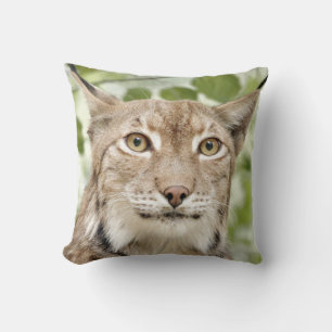 Photo lynx , cat , animals . throw pillow