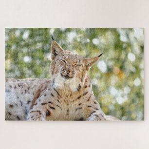 Photo lynx , pet , animals 0296. jigsaw puzzle