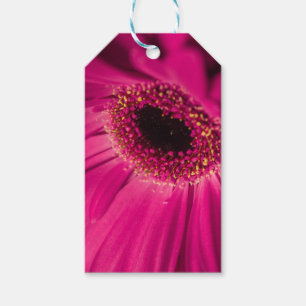Photo, macro gift tags