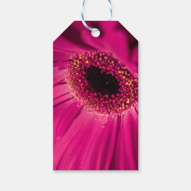 Photo, macro gift tags (Front)