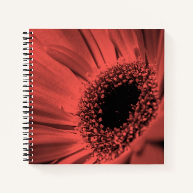 Photo, macro notebook (Front)