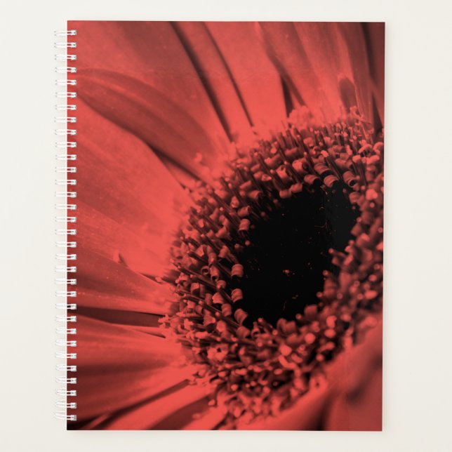 Photo, macro planner (Front)