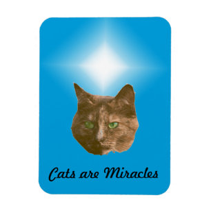 Photo Magnet - Cats are Miracles