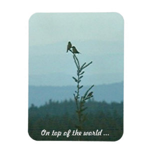 Photo Magnet - On top of the World ...