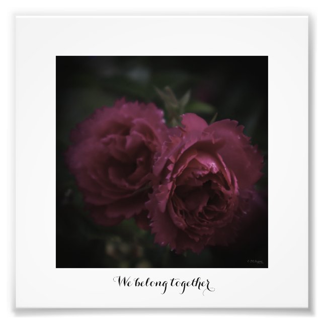 Photo magnification We belong together (Front)