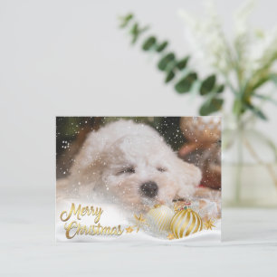 Photo Merry Christmas Snow Overlay Budget Gold Holiday Postcard