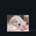 Photo Merry Christmas Snow Overlay Budget Holiday Postcard<br><div class="desc">Customise this budget holiday postcard with your own favourite photo.  We’ve added a snow overlay & Merry Christmas accent layer.  Perfect t for all your family & friends.</div>