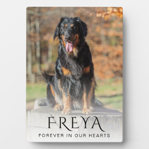 Photo Name Forever in Our Hearts Pet Memorial Plaque