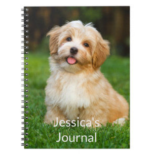 Photo notebook