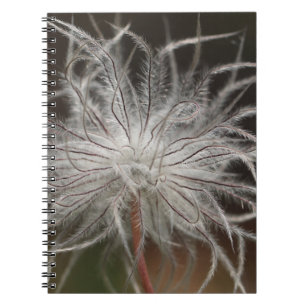 Photo Notebook (80 Pages B&W)