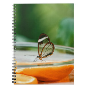 Photo Notebook (80 Pages B&W)
