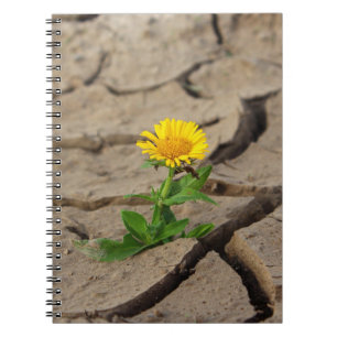 Photo Notebook (80 Pages B&W)