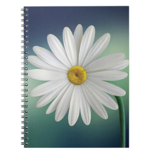 Photo Notebook (80 Pages B&W)
