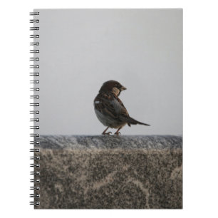Photo Notebook (80 Pages B&W)