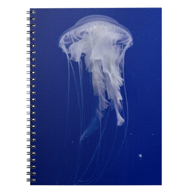Photo Notebook (80 Pages B&W) (Front)