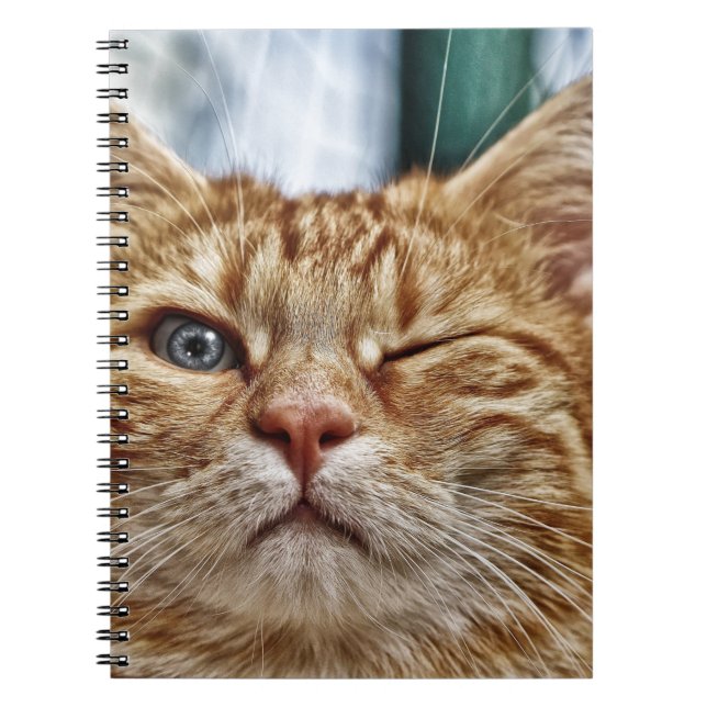 Photo Notebook (80 Pages B&W) (Front)