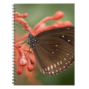 Photo Notebook (80 Pages B&W)