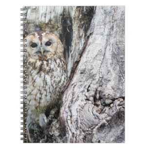 Photo Notebook (80 Pages B&W)