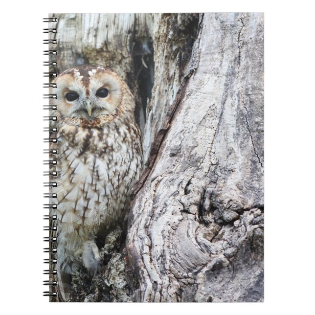 Photo Notebook (80 Pages B&W) (Front)