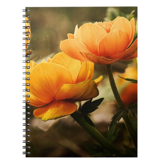 Photo Notebook (80 Pages B&W) (Front)
