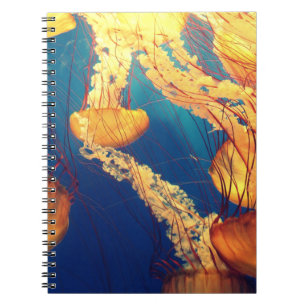 Photo Notebook (80 Pages B&W)