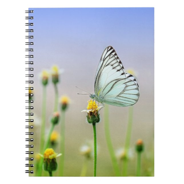 Photo Notebook (80 Pages B&W) (Front)