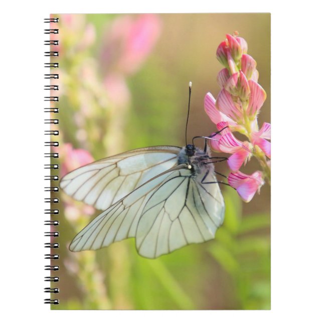 Photo Notebook (80 Pages B&W) (Front)