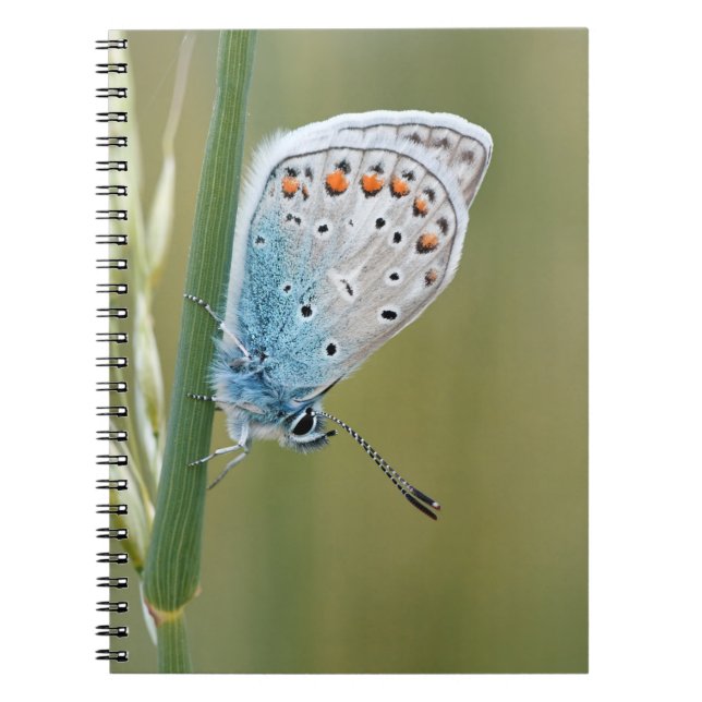 Photo Notebook (80 Pages B&W) (Front)