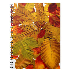 Photo Notebook (80 Pages B&W)
