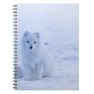 Photo Notebook (80 Pages B&W)