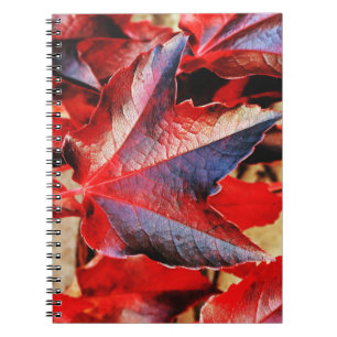 Photo Notebook (80 Pages B&W)