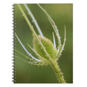 Photo Notebook (80 Pages B&W)