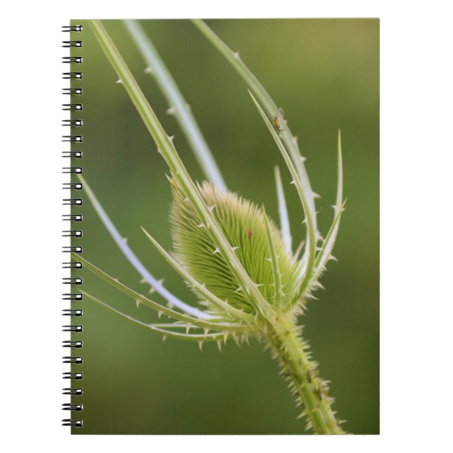 Photo Notebook (80 Pages B&W) (Front)