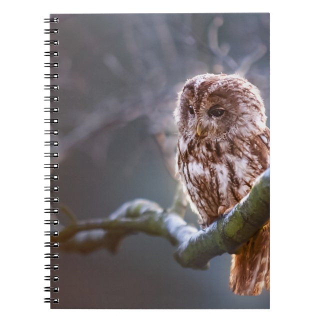 Photo Notebook (80 Pages B&W) (Front)