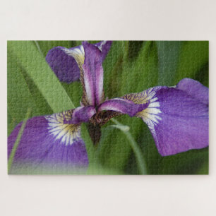 Photo of a beautiful, purple iris flower jigsaw puzzle