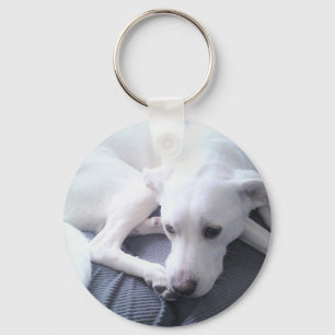 Photo of a Beautiful White Labrador Retriever Mix Key Ring