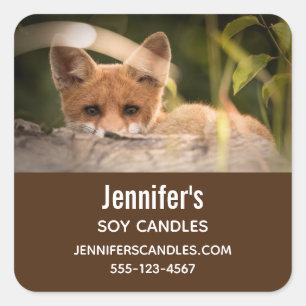 Photo of a Cute Little Orange Fox Business Square Sticker