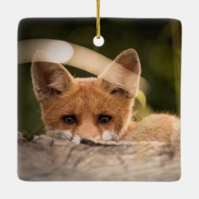Photo of a Cute Little Orange Fox Ceramic Ornament (Back)