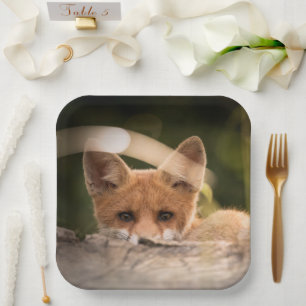 Photo of a Cute Little Orange Fox Paper Plate