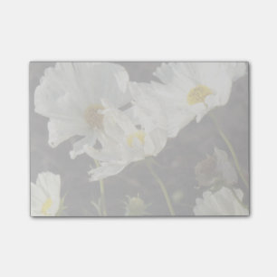 Photo of a Flower Bed of White and Gold Daisies Post-it Notes