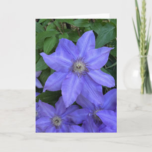 Photo of a Flower from New England Blank Greeting Card