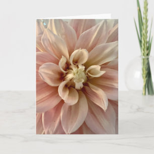 Photo of a Flower from New England Blank Greeting Card