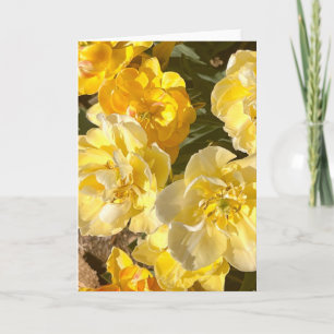Photo of a Flower from New England Blank Greeting Card