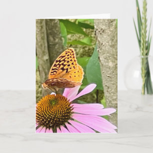 Photo of a Flower from New England Blank Greeting Card