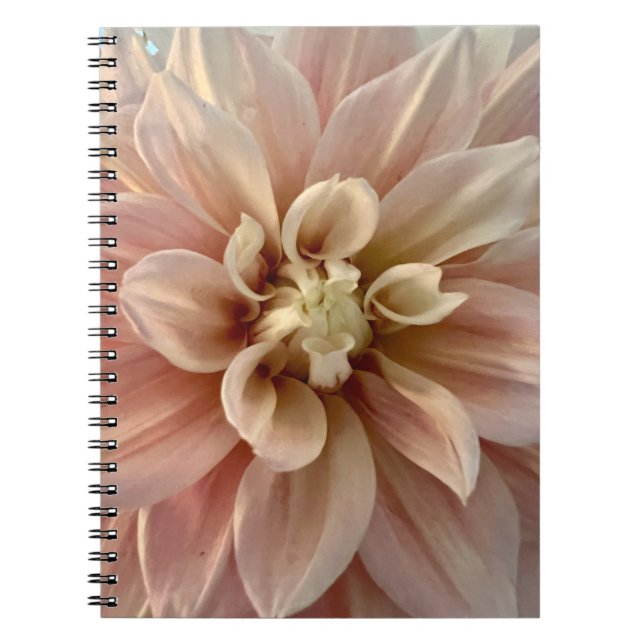 Photo of a Flower from New England  Notebook (Front)