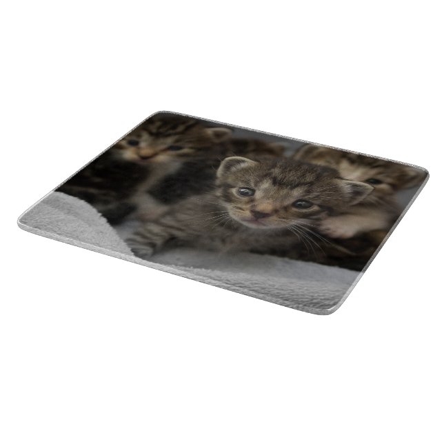 Photo of a group of cuddly kittens cutting board (Corner)