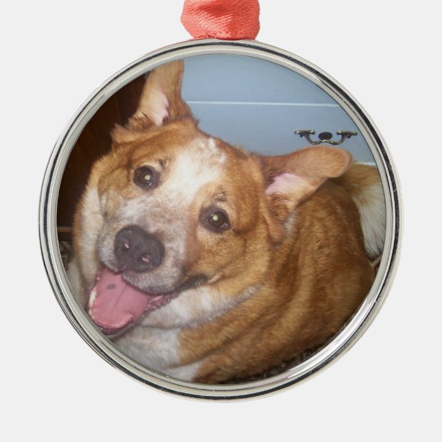 Photo of a Happy Dog Metal Tree Decoration (Front)